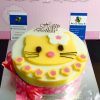 meo-kitty-4